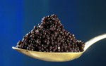 Coup de Coeur Gastronomique : Le caviar