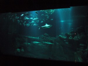 aquariumdeparis